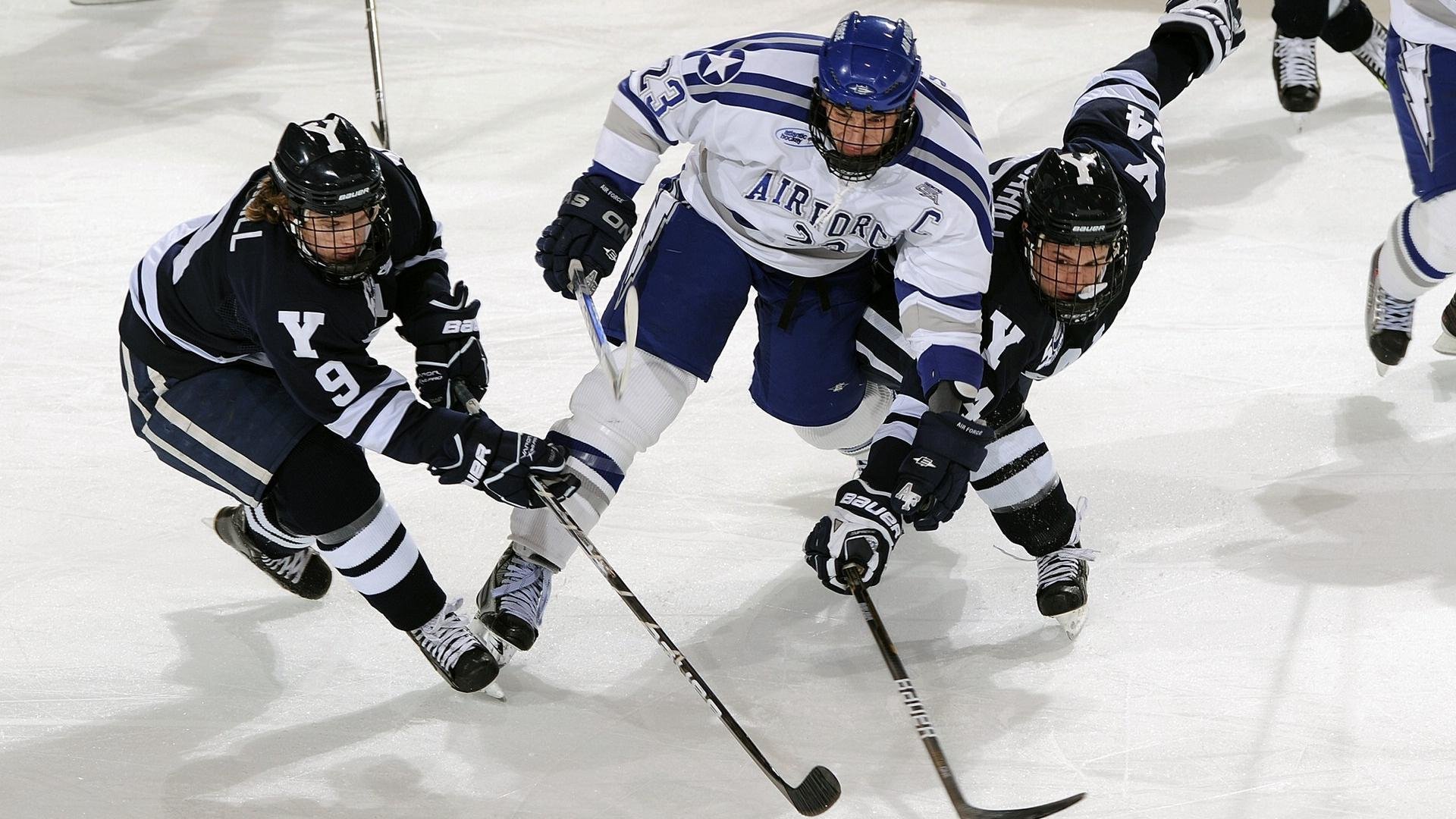 星空体育官方入口-澳大利亚袋鼠队的快速推进常常打乱对手防线，澳大利亚袋鼠问题