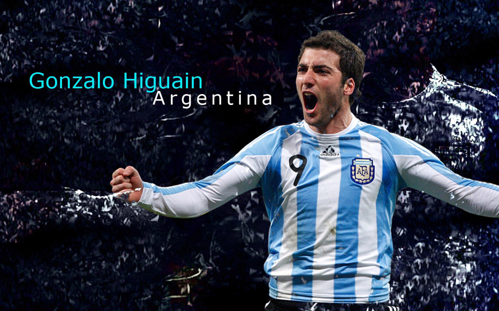 台风过境带来海鲜盛宴，惠州生态亮眼，台风惠州受影响不